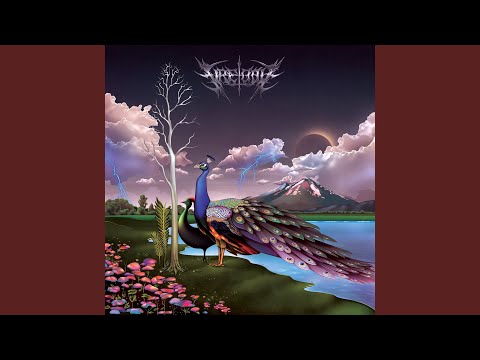 Fire-Toolz — Being