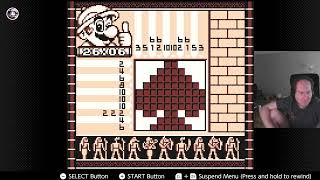 Marios Picross on Nintendo Switch Online