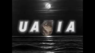 OIA CAT x Die with a smile