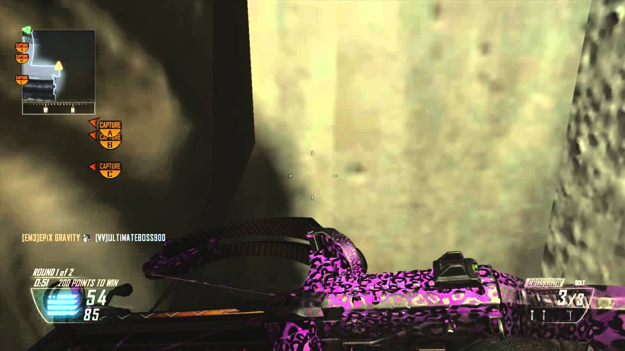 BO2 Glitch how to hide from a K9 unit on Express