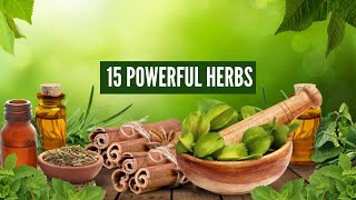 15 Powerful Herbs to Make Your Kidneys Like New – Naturally Cleanse & Support Kidney Health