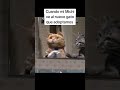 Ya valió queso jajaja #hombresigma #facts #cat #catshorts #gatos #viral