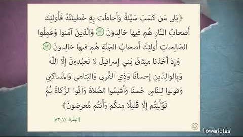 سورة البقرة من آية 81 الى 83