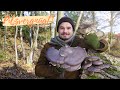 The winter mushrooms are here! 🤩 Basketfuls of fresh oyster mushrooms, enoki mushrooms, and wood ...