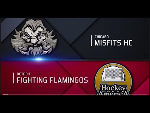 Chicago Misfits vs Detroit Fighting Flamingos | HNA Finals 2022 | Game