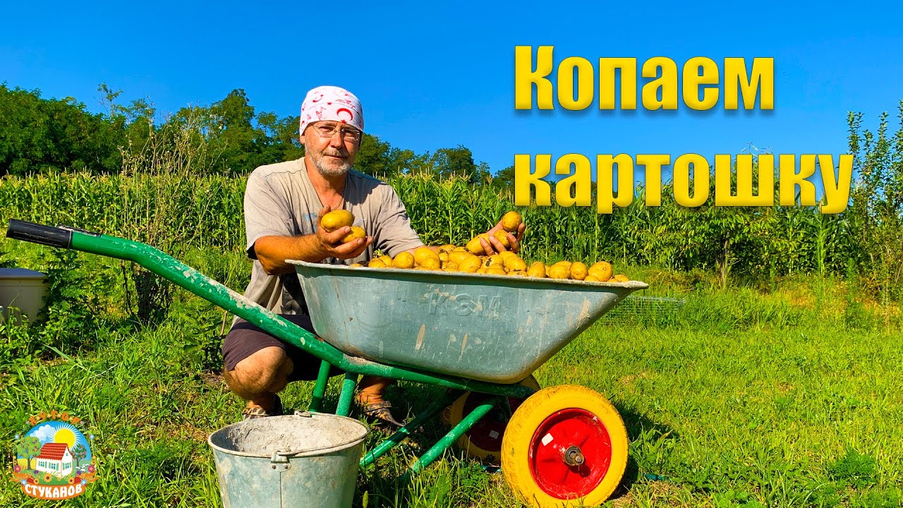 Хутор Стуканов Новые Серии 2022 Год