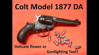 Colt Model 1877 DA   Delicate flower or gunfighting tool