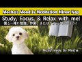 Meditation BGM Study/Work/Relax [勉強/作業/リラックスBGM] Nap Album