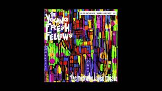 Watch Young Fresh Fellows TV Dream video