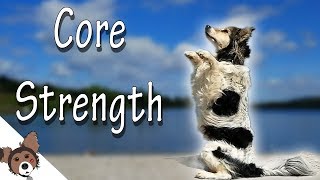 Dog Fitness Exercises  Begging for Core Strength