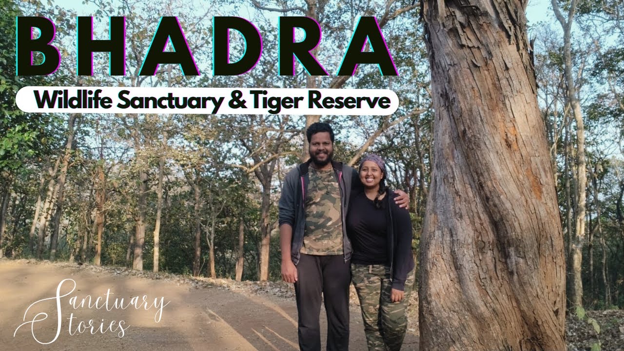 Bhadra Wildlife Sanctuary & Tiger Reserve | JLR River Tern Lodge ...
