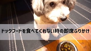 🐶 【咀嚼音】ドックフードを食べてくれない時の即席ふりかけ 【dog】【toy poodle】