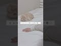 【熟睡できる睡眠環境はコレ】#二人暮らし　#夫婦暮らし　#暮らしの知恵　#暮らしのアイデア　#便利グッズ　#ライフハック　#睡眠