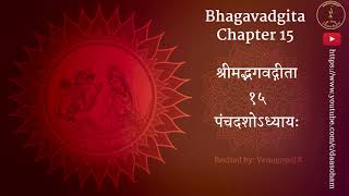 Bhagavadgita Chapter 15 Purushottama Yoga With Captions In 5 Languages