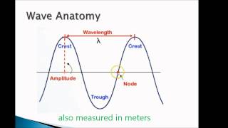 Celebrity Waves Review 1: Anatomy of the Transverse Wave Net Worth