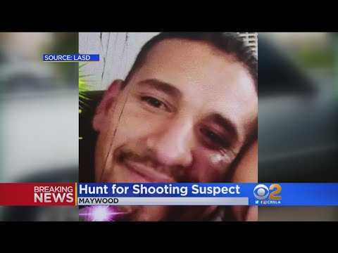 Suspect Identified In Fatal Maywood Shooting