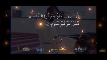 সূরা আত ত্বীন । Surah at Tin ।  سورة التين