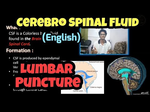 Cerebro Spinal Fluid(CSF)