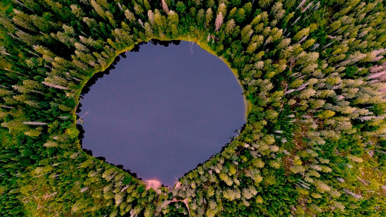 Wildsee im Nationalpark Schwarzwald