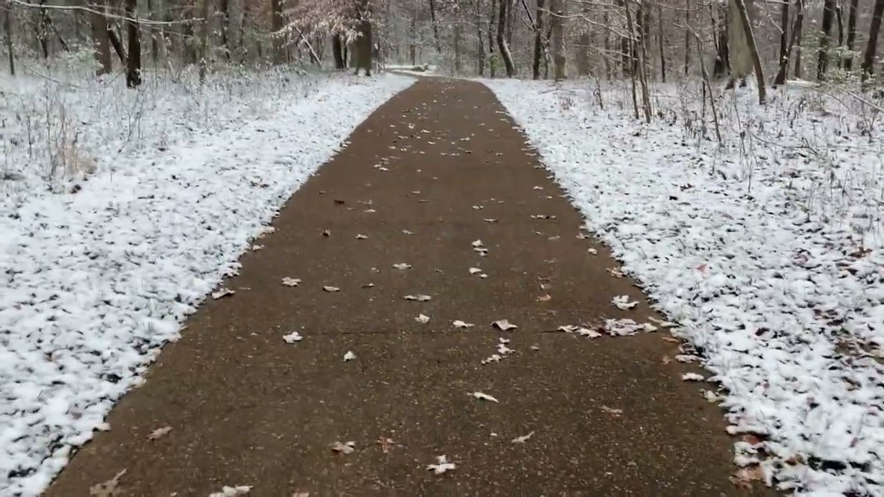 You Are Walking in the Snowy Forest Alone (ASMR POV Experience)