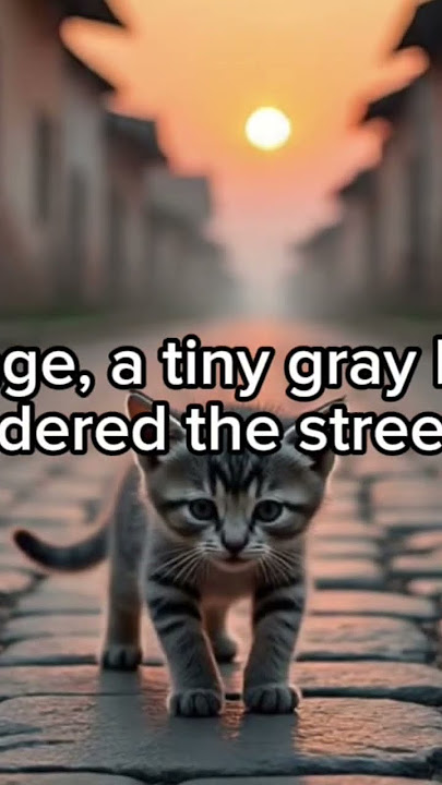 https://youtu.be/Y_ROqC3yZyE?si=bDlvTlpMdOF6DBOe