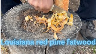 Louisiana red pine fatwood from Harris Quicksilver | How to light fatwood like a boss | Ferrocerium