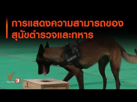 วีดีโอ: ทหารผ่านศึกเวียดนามเปิดตัวอนุสรณ์สุนัขทหาร