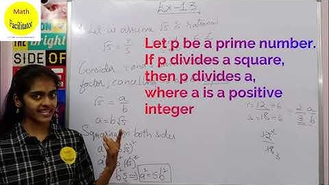 Class 10 | Chapter 1 | Real Numbers Ex 1.3 |CBSE