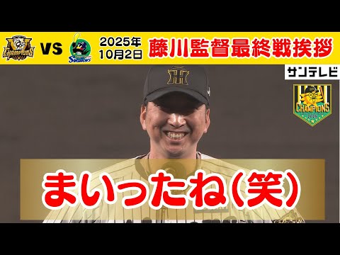 阪神タイガース - タイガース党 熱血！タイガース党／サンテレビボックス席(阪神タイガース中継