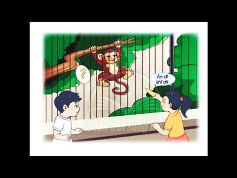 TNXH Bài 20 Giữ an toàn với một số con vật