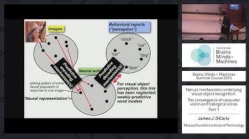 Lecture 1.3: James DiCarlo - Neural Mechanisms of Recognition Part 1