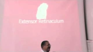 Dr. Ehab - Extensor retinaculum & Anatomical snuff box