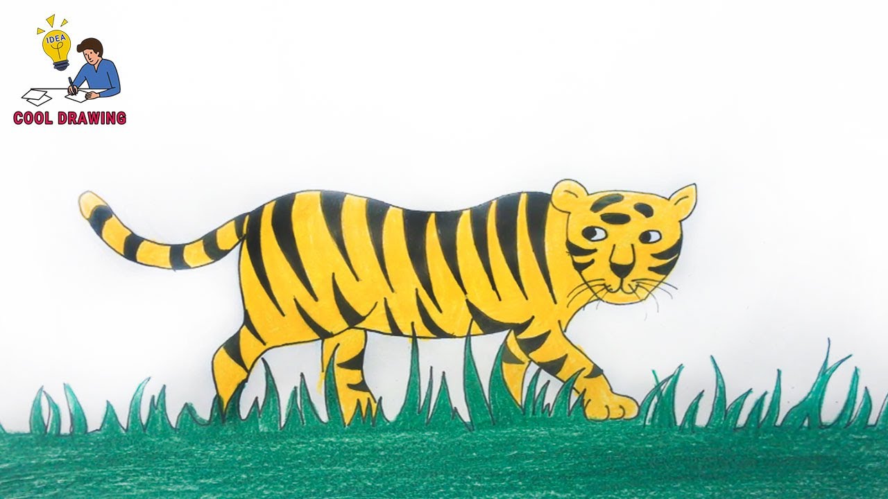 How to draw a tiger