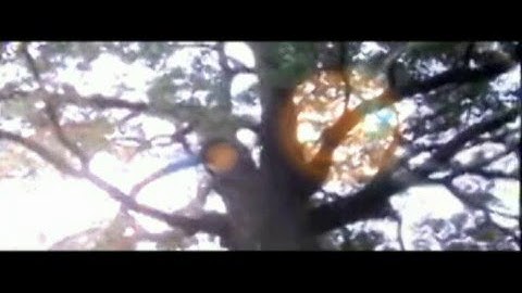 Indonesian Week 2008 : Nusantara Trailer