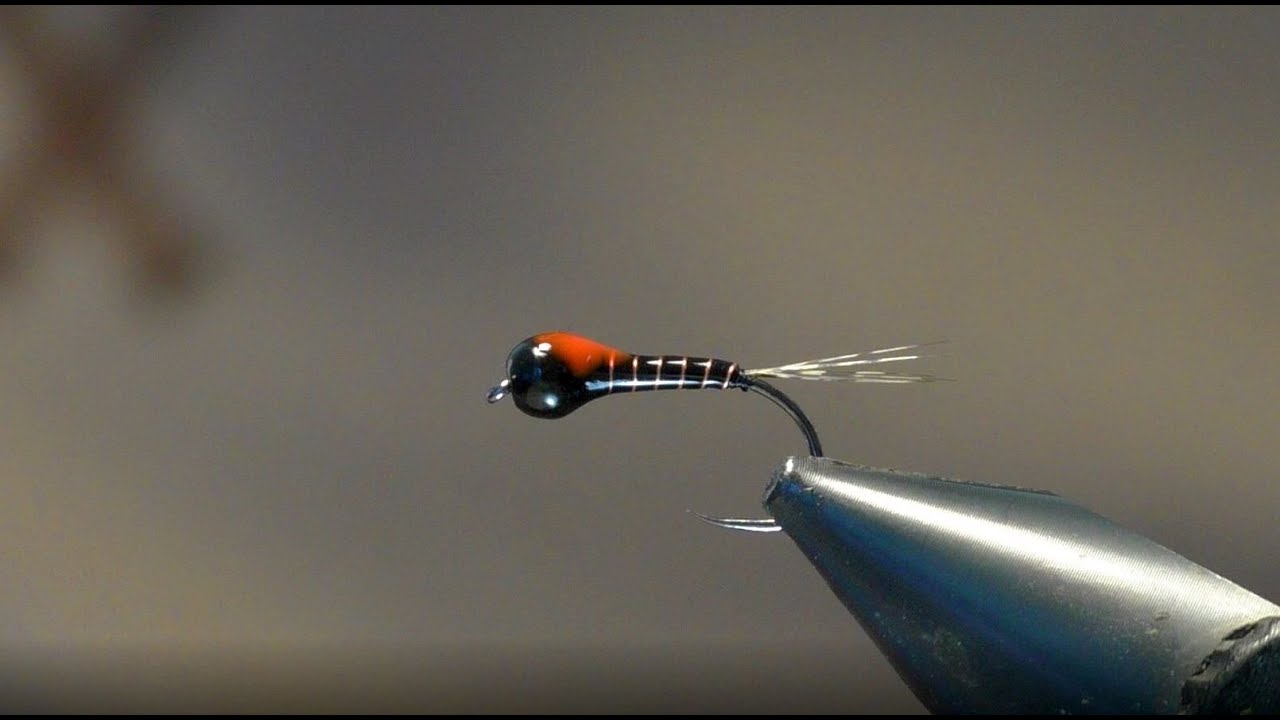 Vidéo montage d'une nymphe perdigone : La Perdiblack