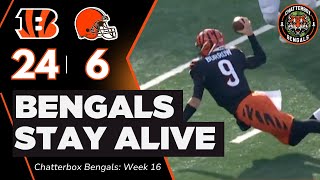 Cincinnati Bengals Beat Cleveland Browns 24-6, Three Game Win Streak Keeps Playoff Hopes Alive