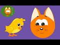 Meow meow kitty  chicky chick    nursery rhymes