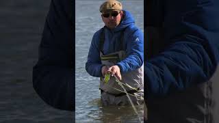 GIANT Brown Trout - Rio Grande Fly Fishing Argentina -  #flyfishing