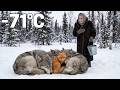 A Fox Cub Was Trapped in a Circle of Sleeping Wolves… Then an Old Woman Did Unthinkable!