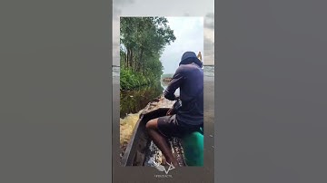 Tidurlah yang lelap kawanku, Part 9 #meme #fyp #viperodactyl