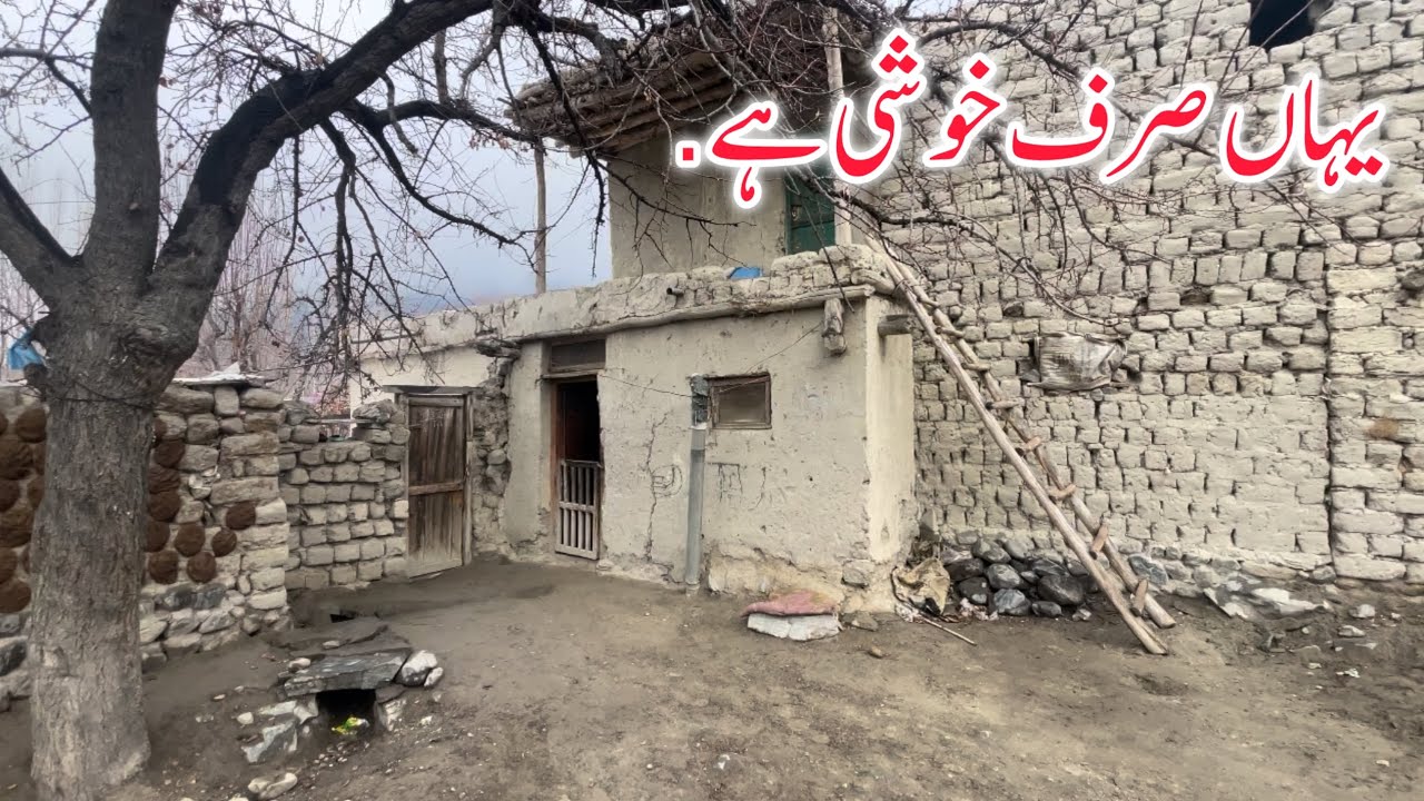 Мирная деревенская жизнь. Моя деревенская жизнь в Скарду.