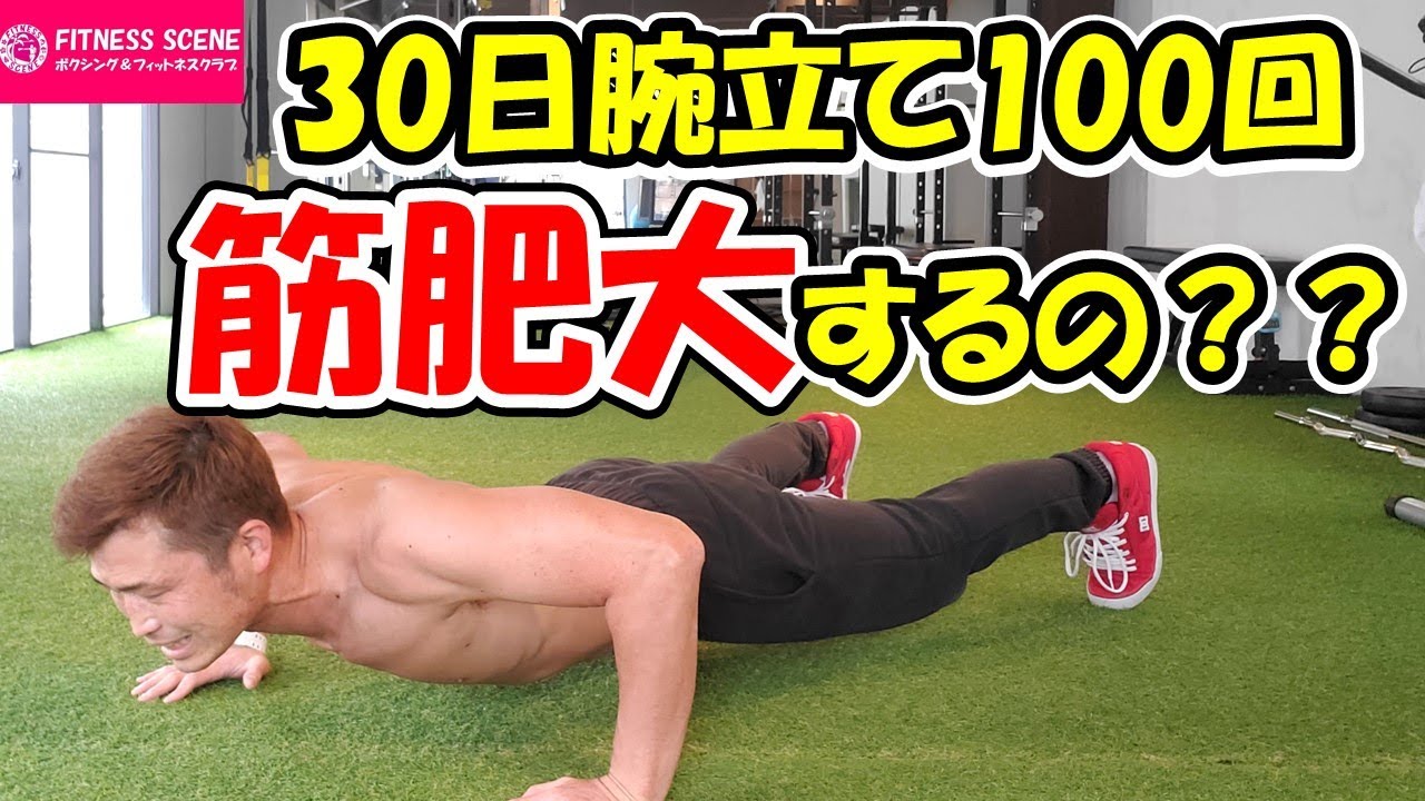 腕立て伏せ 100 回