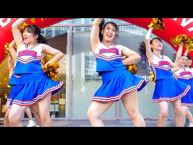 4K Fancam] Blue schoolgirl cheerleading Cute dance Japan [직캠