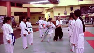 Aikido Girls 2015