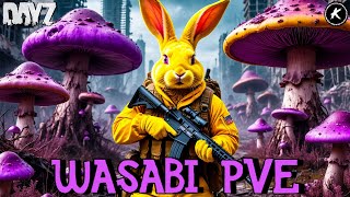 видео: DAYZ PVE | СЕРВЕР WASABI | РЫБАЛКА, ЧЕРВЯКУС, ДРАКОН, ДАНЖИ #dayz #pve #dayzpve картинка: DAYZ PVE | СЕРВЕР WASABI | РЫБАЛКА, ЧЕРВЯКУС, ДРАКОН, ДАНЖИ #dayz #pve #dayzpve