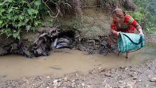 Detecting Many Fish in Cave, In Underground Hole, Catching Fish by Hand Survival, Catching Many Fish