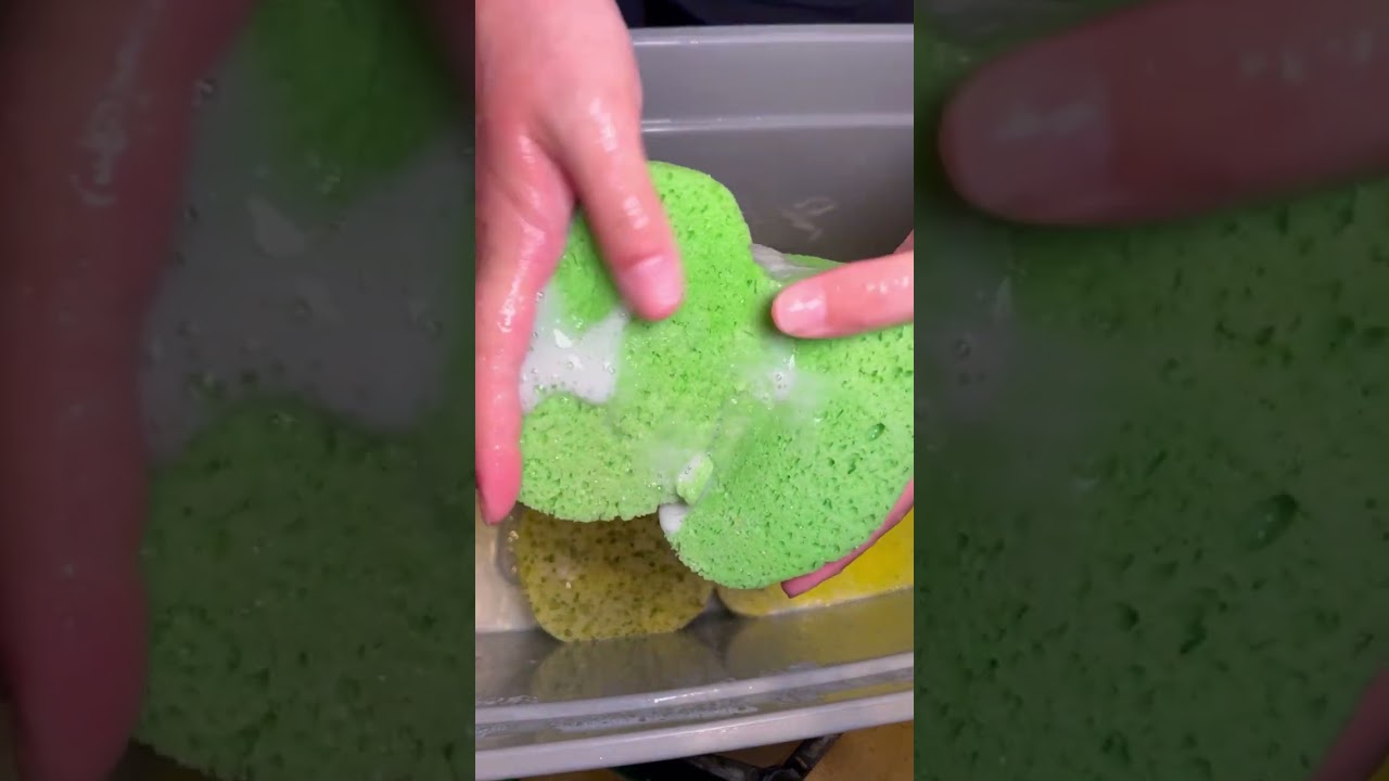 Full resqueeze video | 7 minutes of crunchy delicious sponge squeezes 