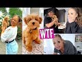 SURPRISING MY PARENTS WITH A PUPPY! *EMOTIONAL* | HeyItsSarai