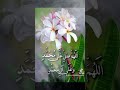 ШµЩ ЩЉШЄ Ш Щ ЩЉ Ш Щ Щ ШЁЩЉ ЩѓШ Щ Щ Ш Щ Щ Щ Щ ЩЉ вќ вќ вќ вќ ШµЩ ЩЉШЄ Ш Щ ЩЉ Ш Щ Щ ШЁЩЉ ЩѓШ Щ Щ Ш Щ Щ Щ Щ ЩЉ вќ вќ вќ вќ