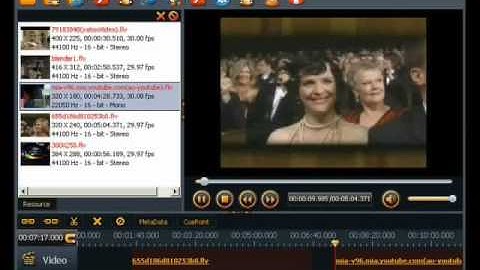 FLV Editor Lite Beta Demo